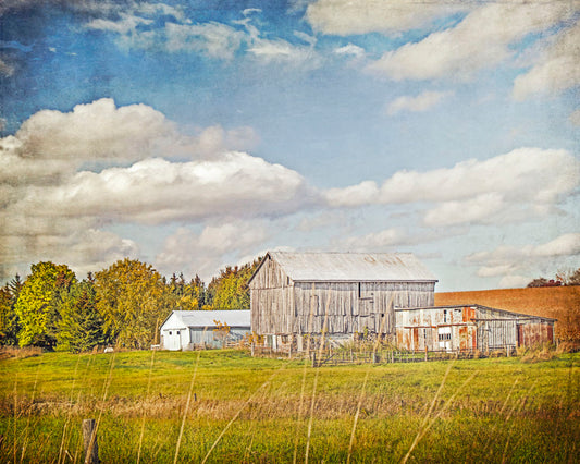A photo of several barns, their associated pastures, and fields. The early signs of fall are present in the steadily changing leaves and crops. The sky above is wide, blue, and populated with fluffy clouds.