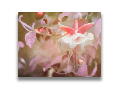 A closeup photo of a pink fuchsia plant, featuring flowers and berries. Printed on canvas.