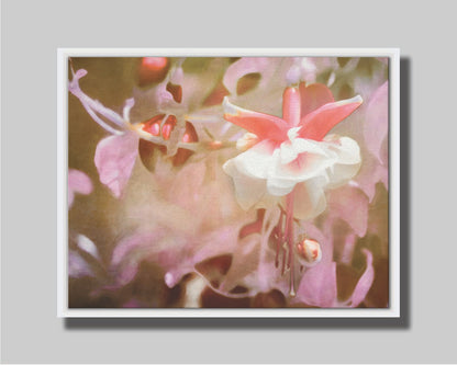 A closeup photo of a pink fuchsia plant, featuring flowers and berries. Printed on canvas in a float frame.