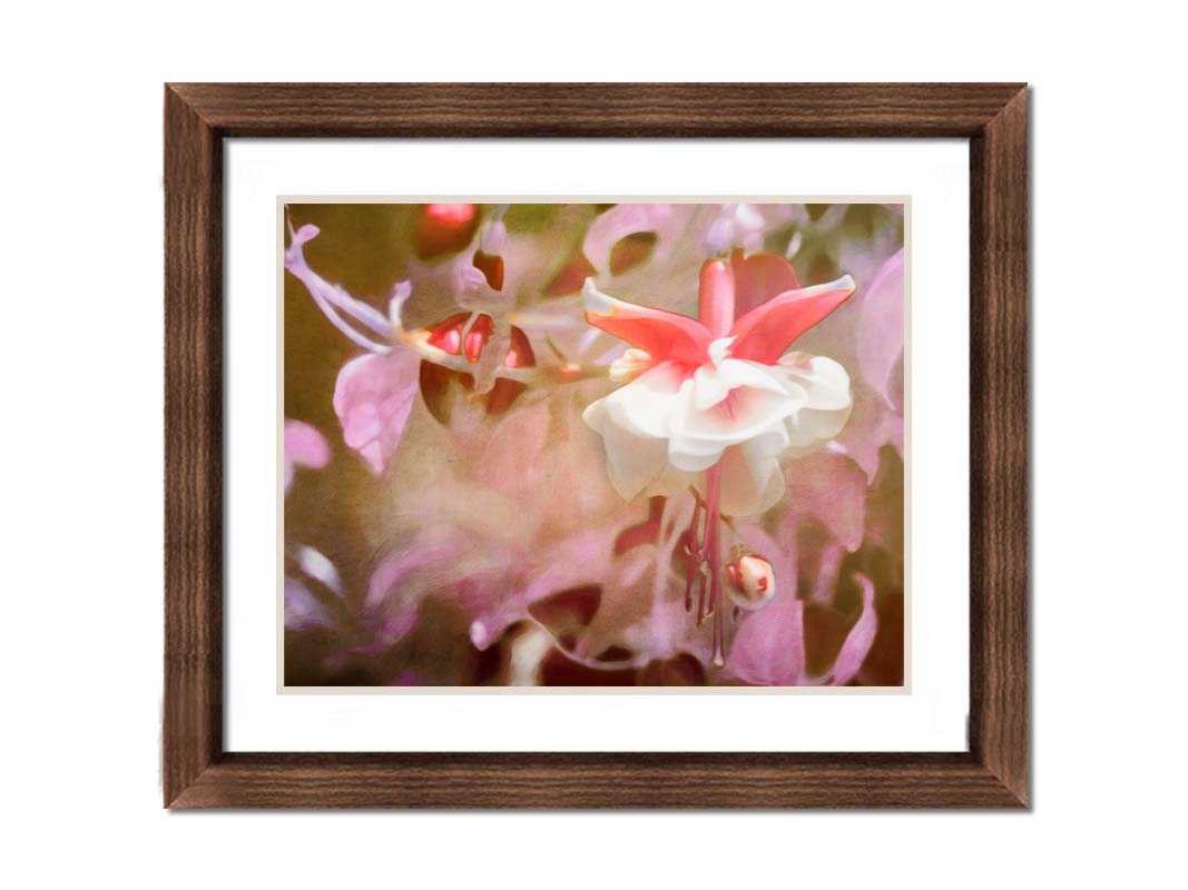 A closeup photo of a pink fuchsia plant, featuring flowers and berries. Printed on paper, matted, and framed.