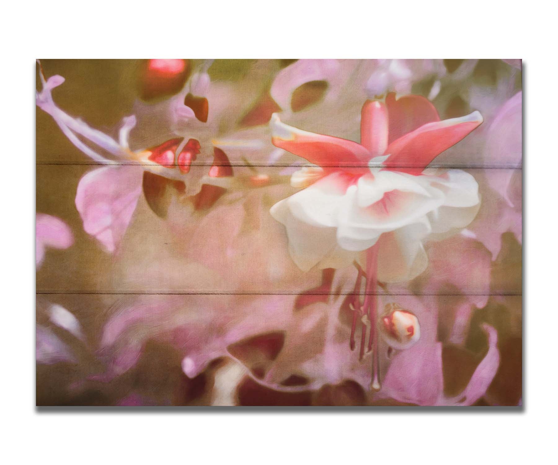 A closeup photo of a pink fuchsia plant, featuring flowers and berries. Printed on a box board.