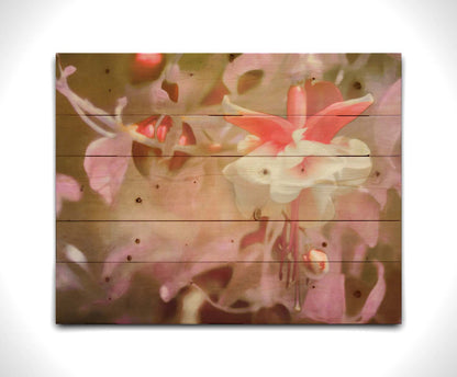 A closeup photo of a pink fuchsia plant, featuring flowers and berries. Printed on a wood pallet.