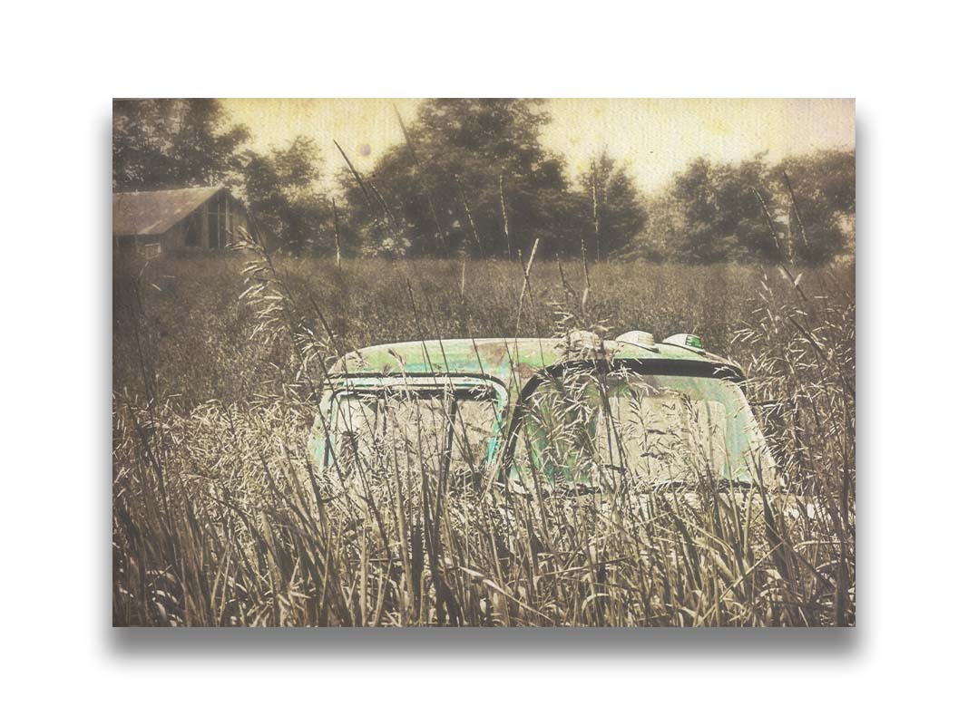 A sepia photo with spot color highlighting an old green truck, buried in a growth of tall grasses. Printed on canvas.