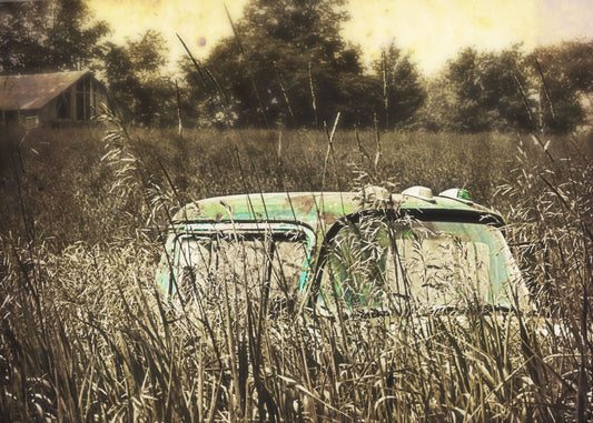 A sepia photo with spot color highlighting an old green truck, buried in a growth of tall grasses.