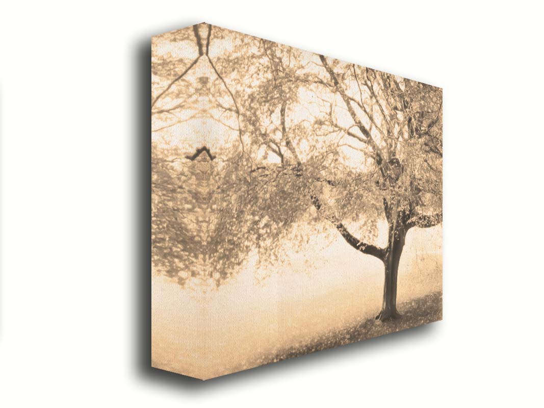 A sepia photo of a tree, steadily losing its leaves for the season. Printed on canvas.