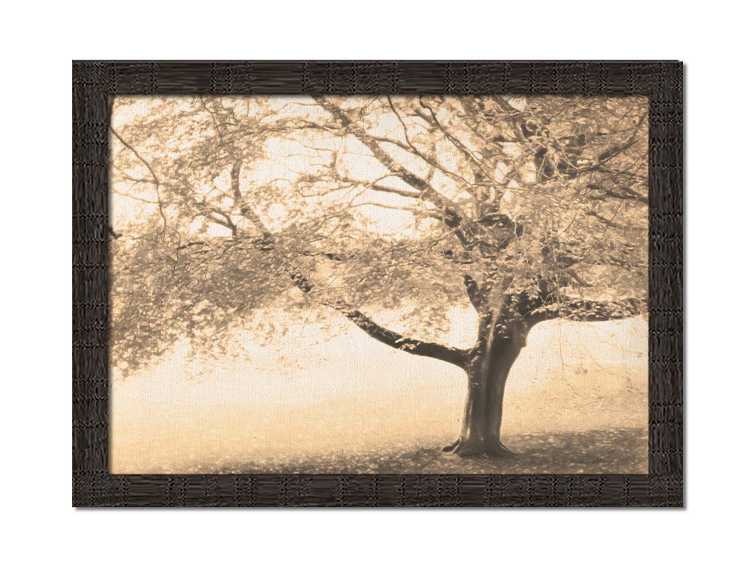 A sepia photo of a tree, steadily losing its leaves for the season. Printed on canvas and framed.