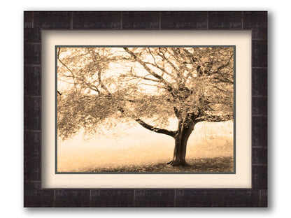 A sepia photo of a tree, steadily losing its leaves for the season. Printed on paper, matted, and framed.