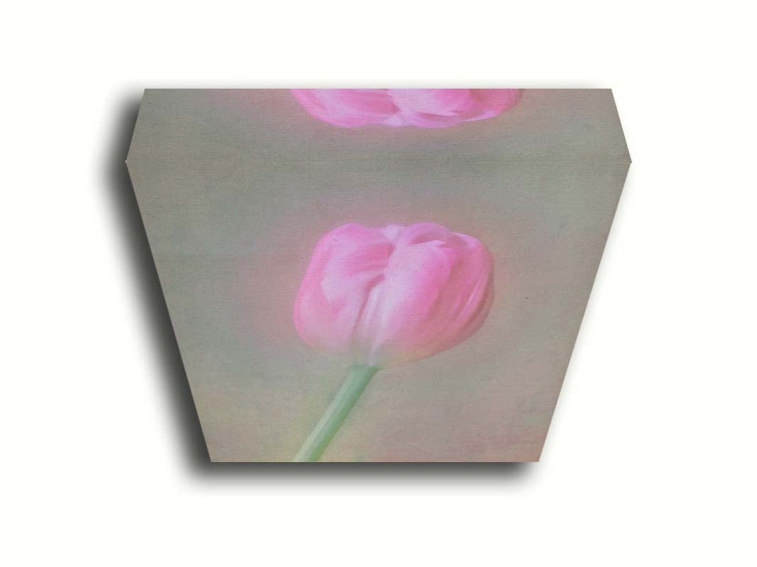 A photo of a singular pink tulip against a gray background. Soft lighting and blur effects make it appear ethereal. Printed on canvas.