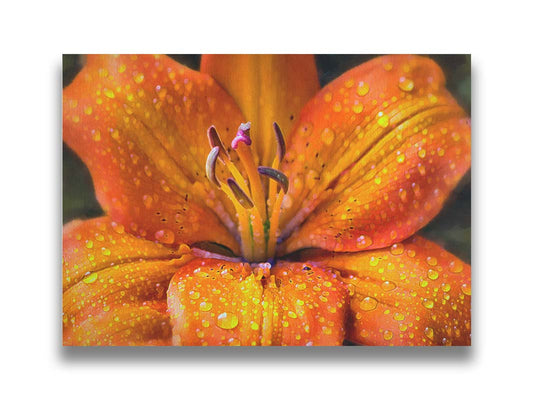 A closeup photo of an orange lily, covered in water droplets and edited to have a painterly effect. Printed on canvas.