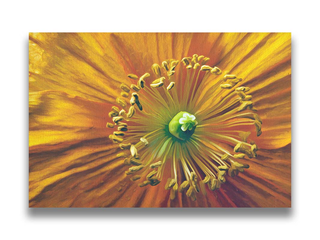 An extreme closeup photo of the center of an orange flower, edited to have a painterly style. Printed on canvas.