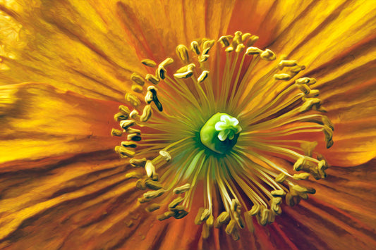 An extreme closeup photo of the center of an orange flower, edited to have a painterly style.