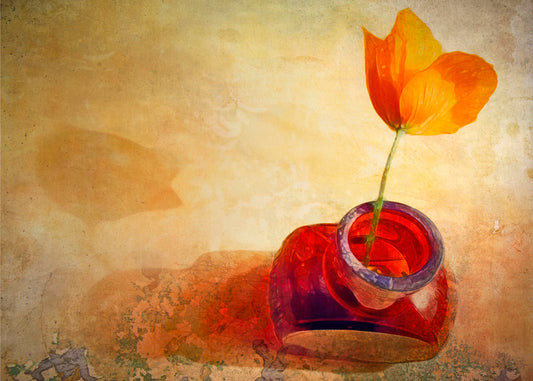 A photo taken from above of a singular orange flower in a red glass bottle. 