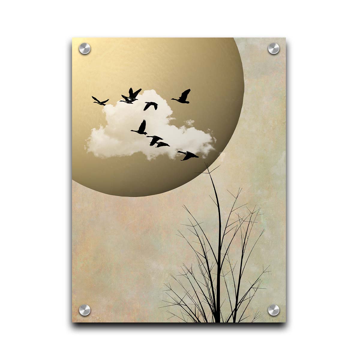 A photo collage art piece of migratory birds flying south for the winter, silhouetted against a big gold moon. Printed on acrylic.