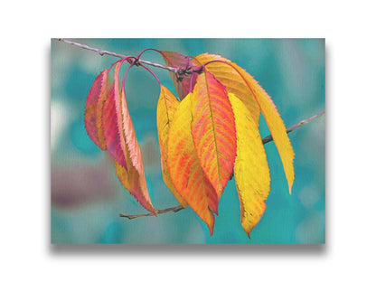 A photo of a twig of red and yellow leaves, with a blue background blurred with perspective. Printed on canvas.