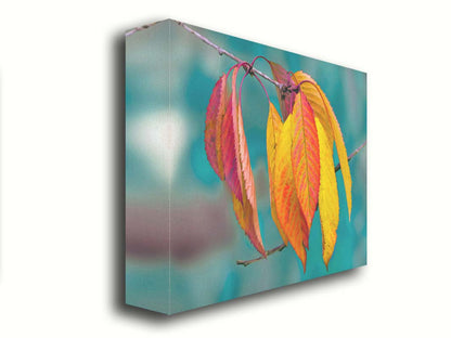 A photo of a twig of red and yellow leaves, with a blue background blurred with perspective. Printed on canvas.