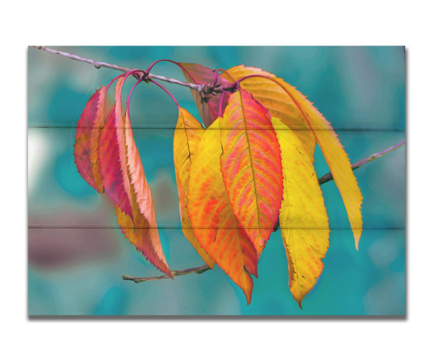 A photo of a twig of red and yellow leaves, with a blue background blurred with perspective. Printed on a box board.