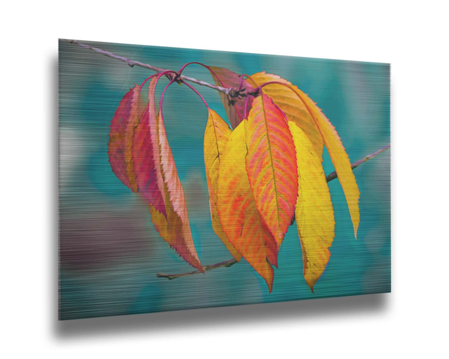 A photo of a twig of red and yellow leaves, with a blue background blurred with perspective. Printed on metal.