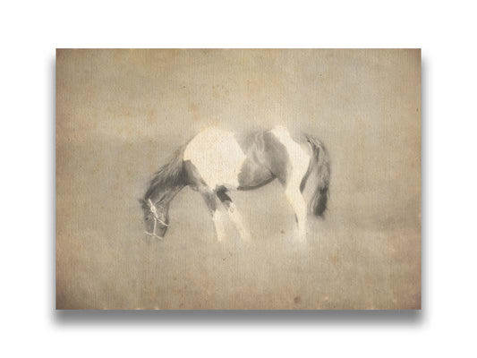 A photo of a grazing American Paint horse, textured and edited in a sepia tone with a dreamlike glow. Printed on canvas.