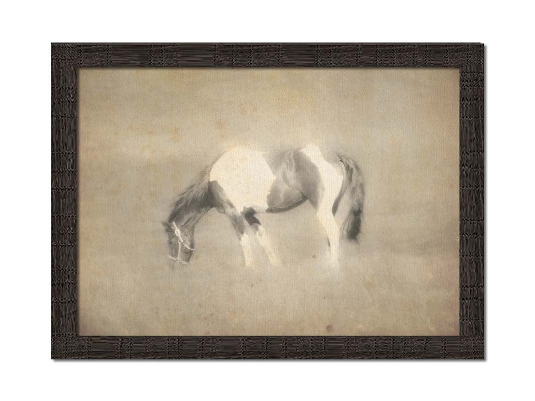 A photo of a grazing American Paint horse, textured and edited in a sepia tone with a dreamlike glow. Printed on canvas and framed.