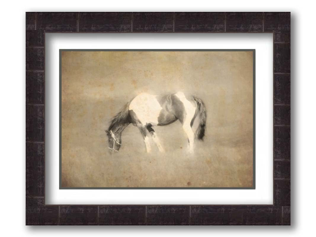 A photo of a grazing American Paint horse, textured and edited in a sepia tone with a dreamlike glow. Printed on paper, matted, and framed.