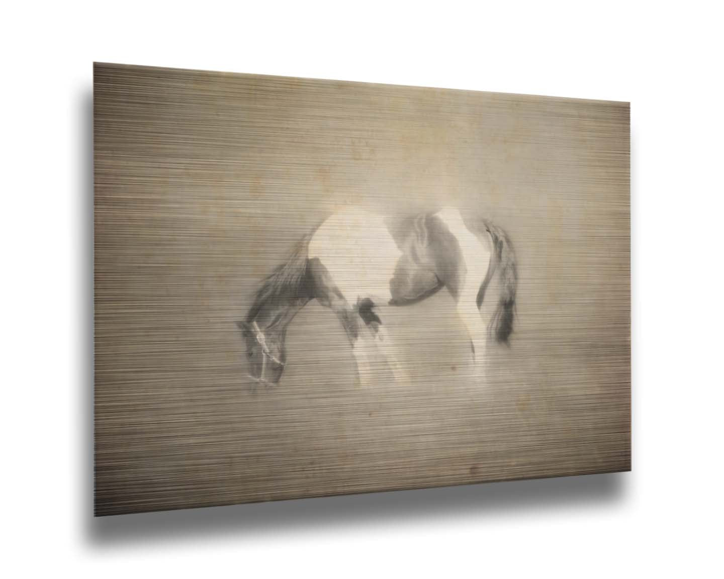 A photo of a grazing American Paint horse, textured and edited in a sepia tone with a dreamlike glow. Printed on metal.