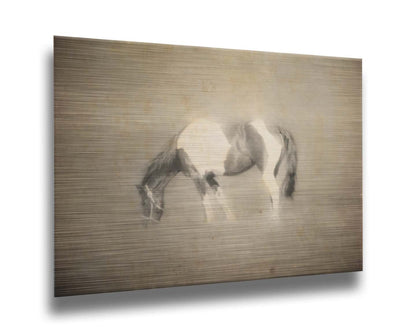 A photo of a grazing American Paint horse, textured and edited in a sepia tone with a dreamlike glow. Printed on metal.