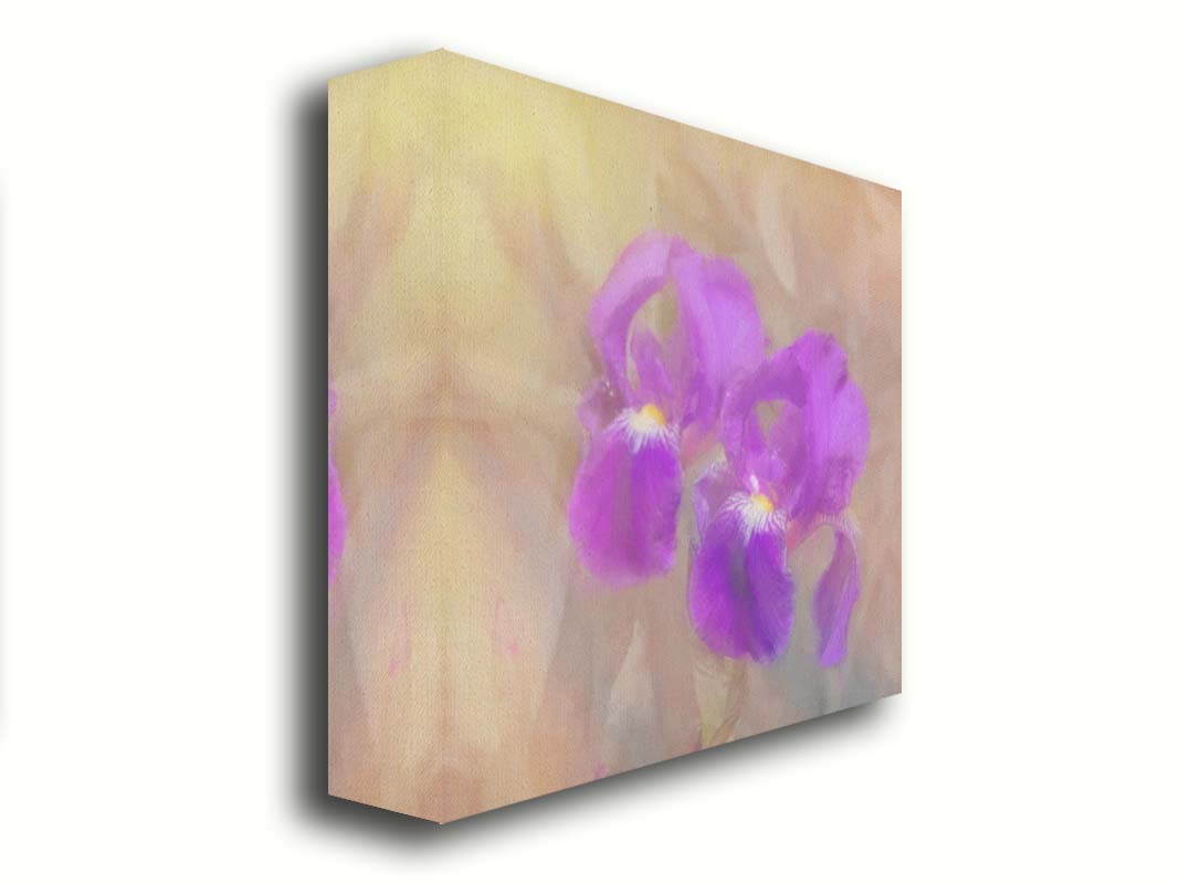 A photo of two purple irises against a brown background, textured to look like a painting. Printed on canvas.