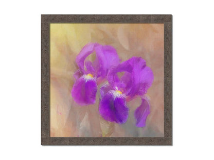 A photo of two purple irises against a brown background, textured to look like a painting. Printed on canvas and framed.