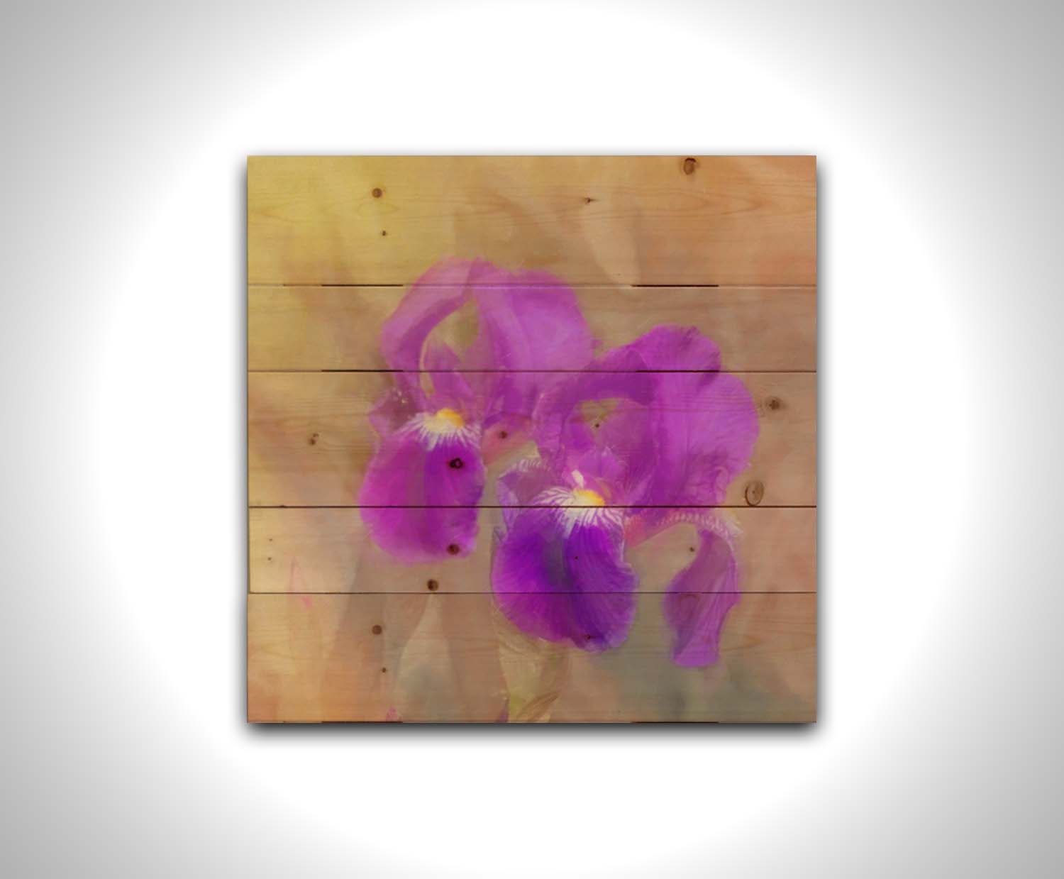 A photo of two purple irises against a brown background, textured to look like a painting. Printed on a wood pallet.