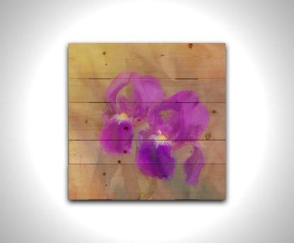 A photo of two purple irises against a brown background, textured to look like a painting. Printed on a wood pallet.