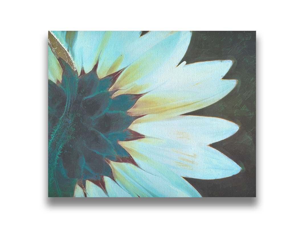 A closeup photo of the back of a sunflower, edited to have a painterly appearance and cool tone. Printed on canvas.