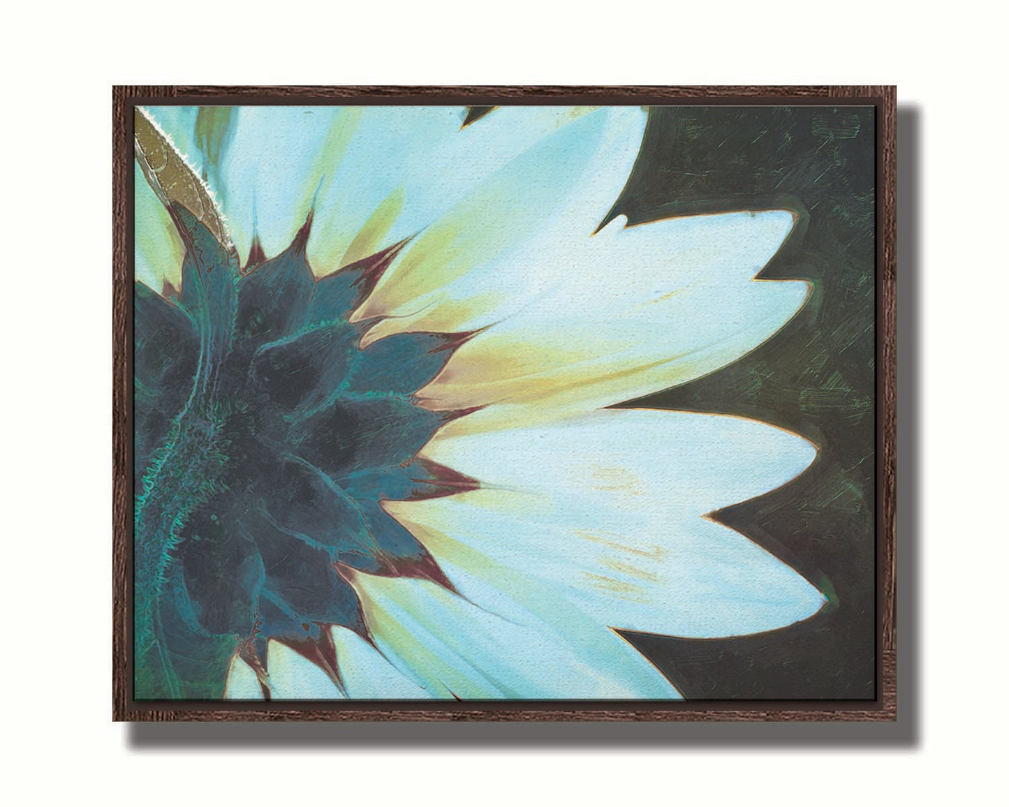 A closeup photo of the back of a sunflower, edited to have a painterly appearance and cool tone. Printed on canvas in a float frame.