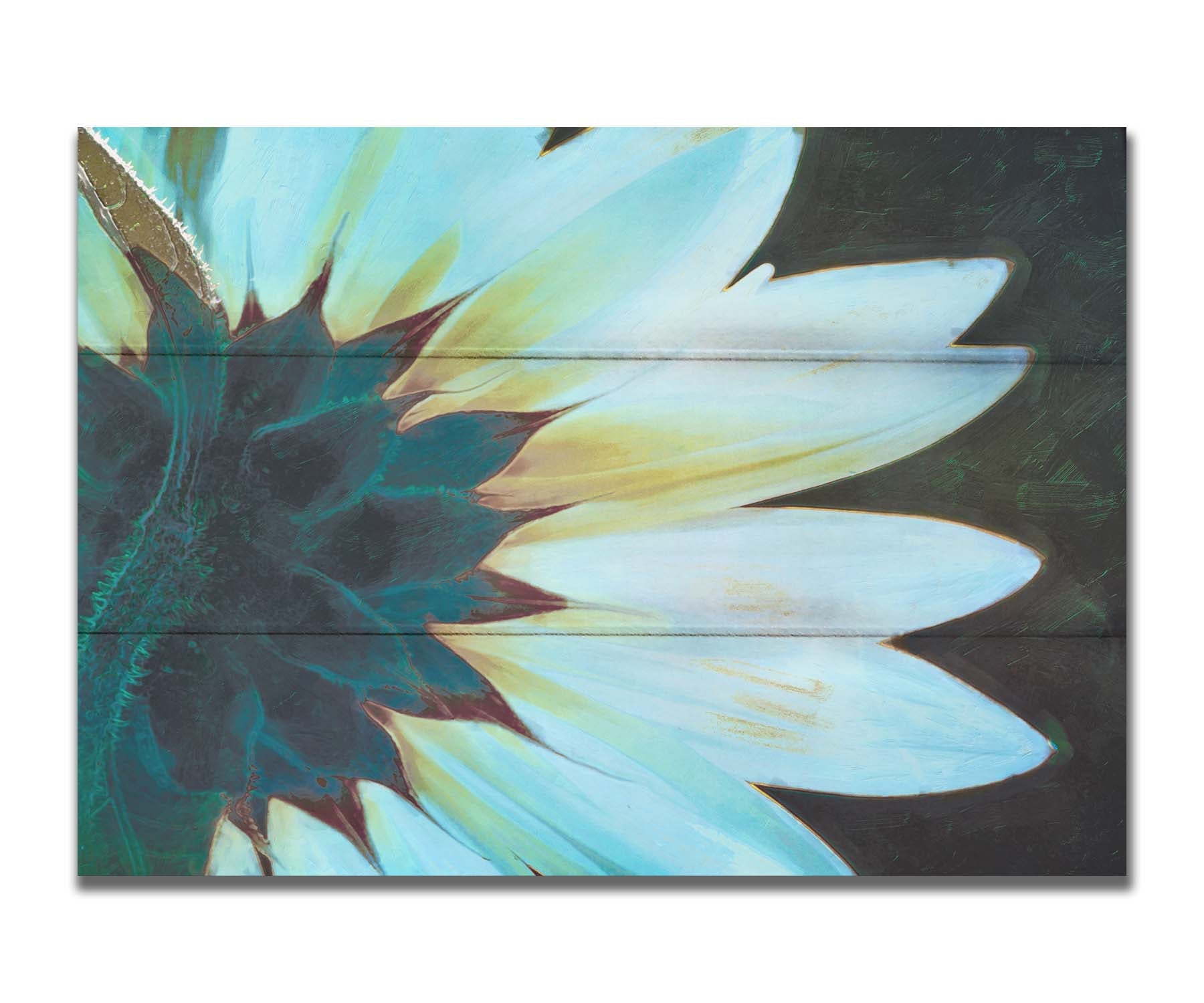 A closeup photo of the back of a sunflower, edited to have a painterly appearance and cool tone. Printed on a box board.