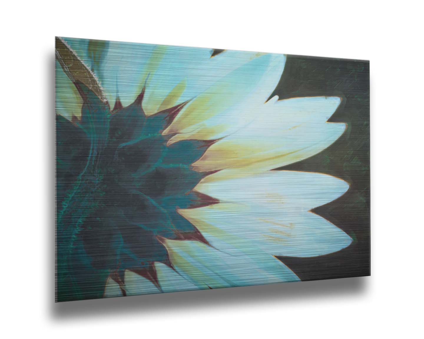 A closeup photo of the back of a sunflower, edited to have a painterly appearance and cool tone. Printed on metal.