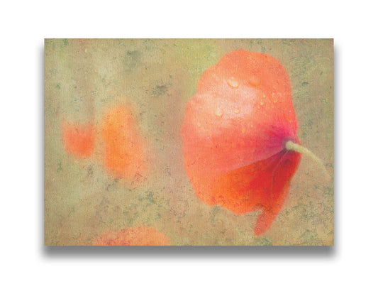 A photo of a dew covered red poppy, edited with high texture. Printed on canvas.