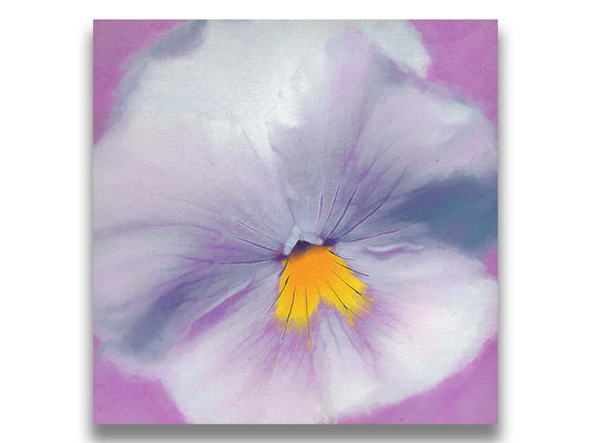 A close-up photo of a pale purple pansy flower. Printed on canvas.