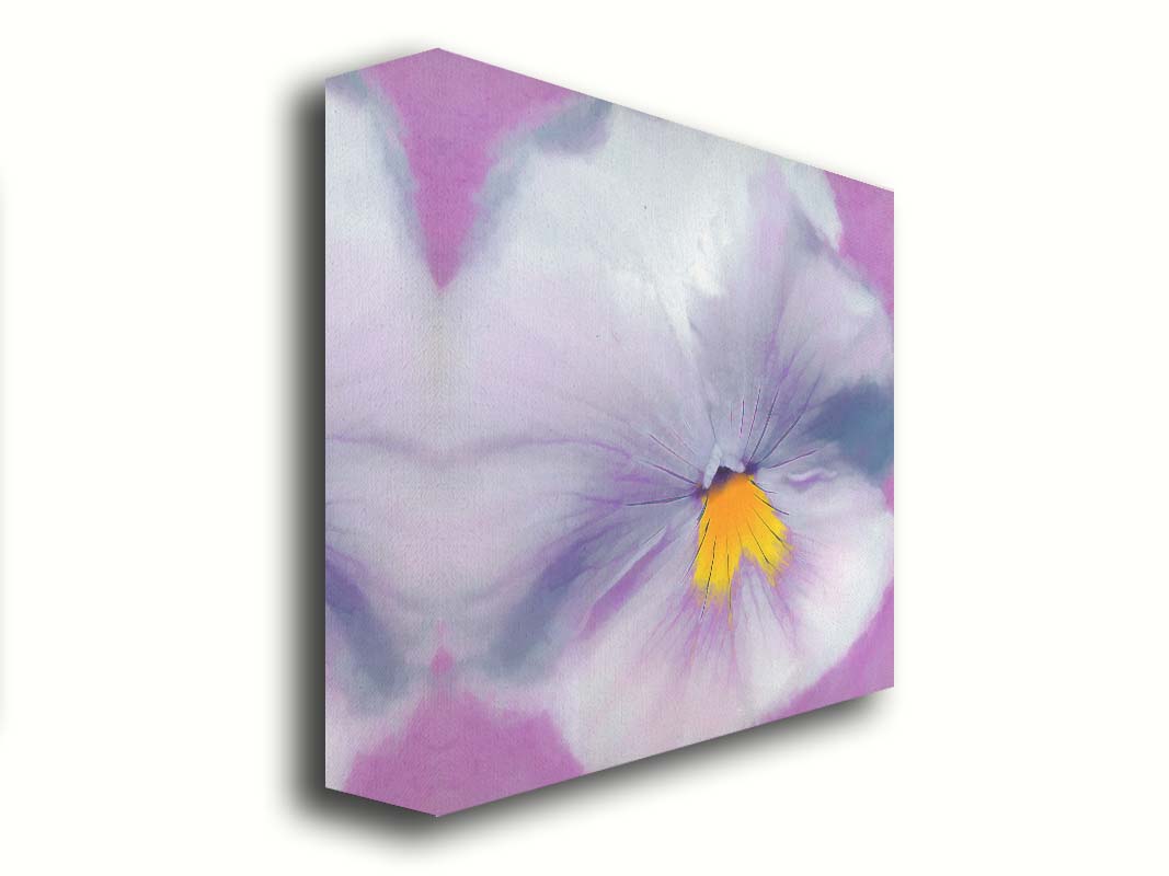 A close-up photo of a pale purple pansy flower. Printed on canvas.