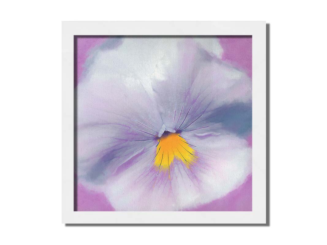 A close-up photo of a pale purple pansy flower. Printed on canvas and framed.