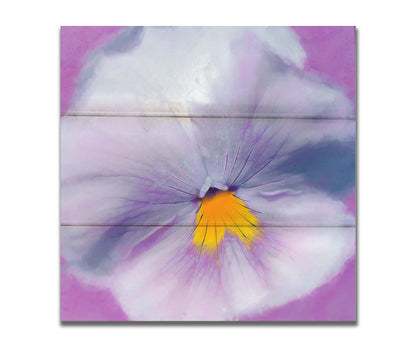 A close-up photo of a pale purple pansy flower. Printed on a box board.