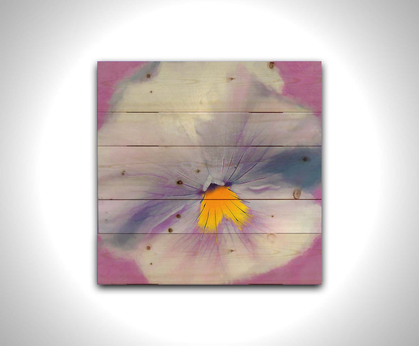 A close-up photo of a pale purple pansy flower. Printed on a wood pallet.