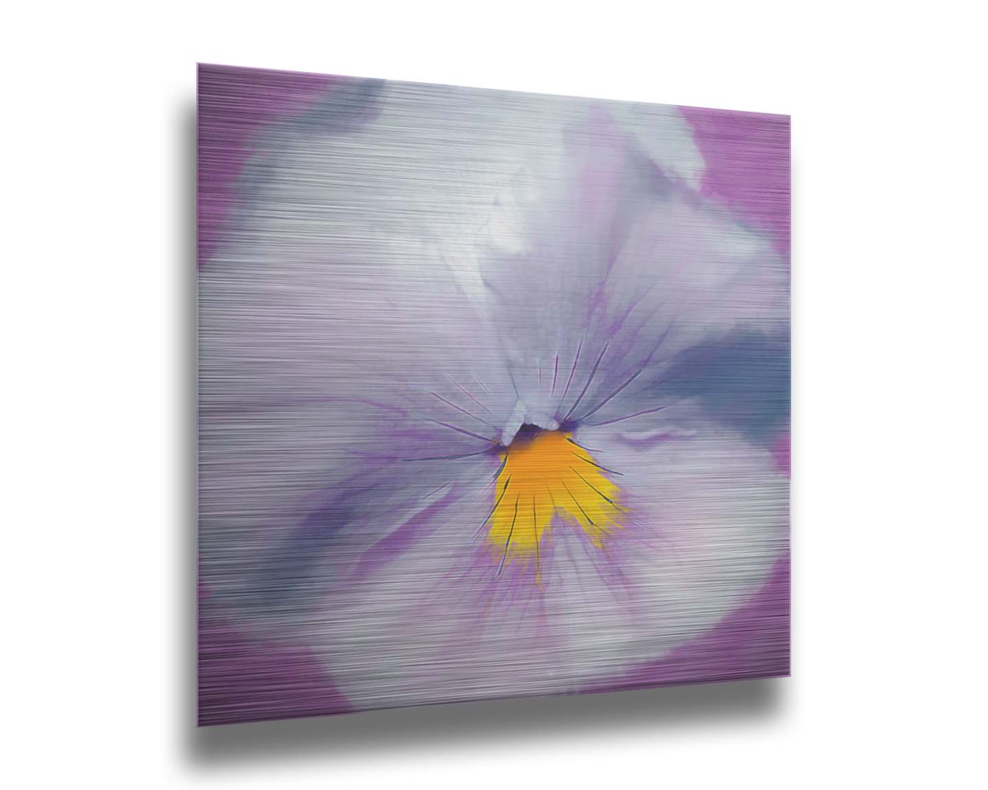 A close-up photo of a pale purple pansy flower. Printed on metal.