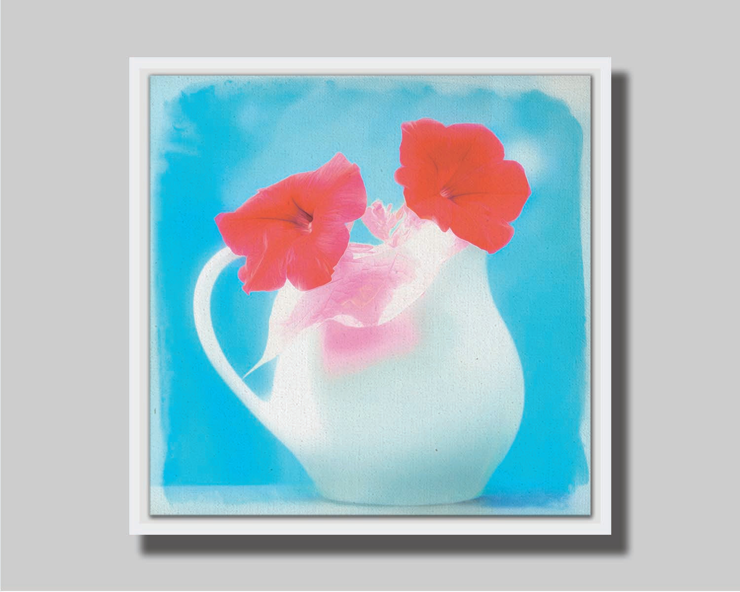 A photo of two red flowes in a white pitcher vase against a cyan backgrround. Printed on canvas in a float frame.