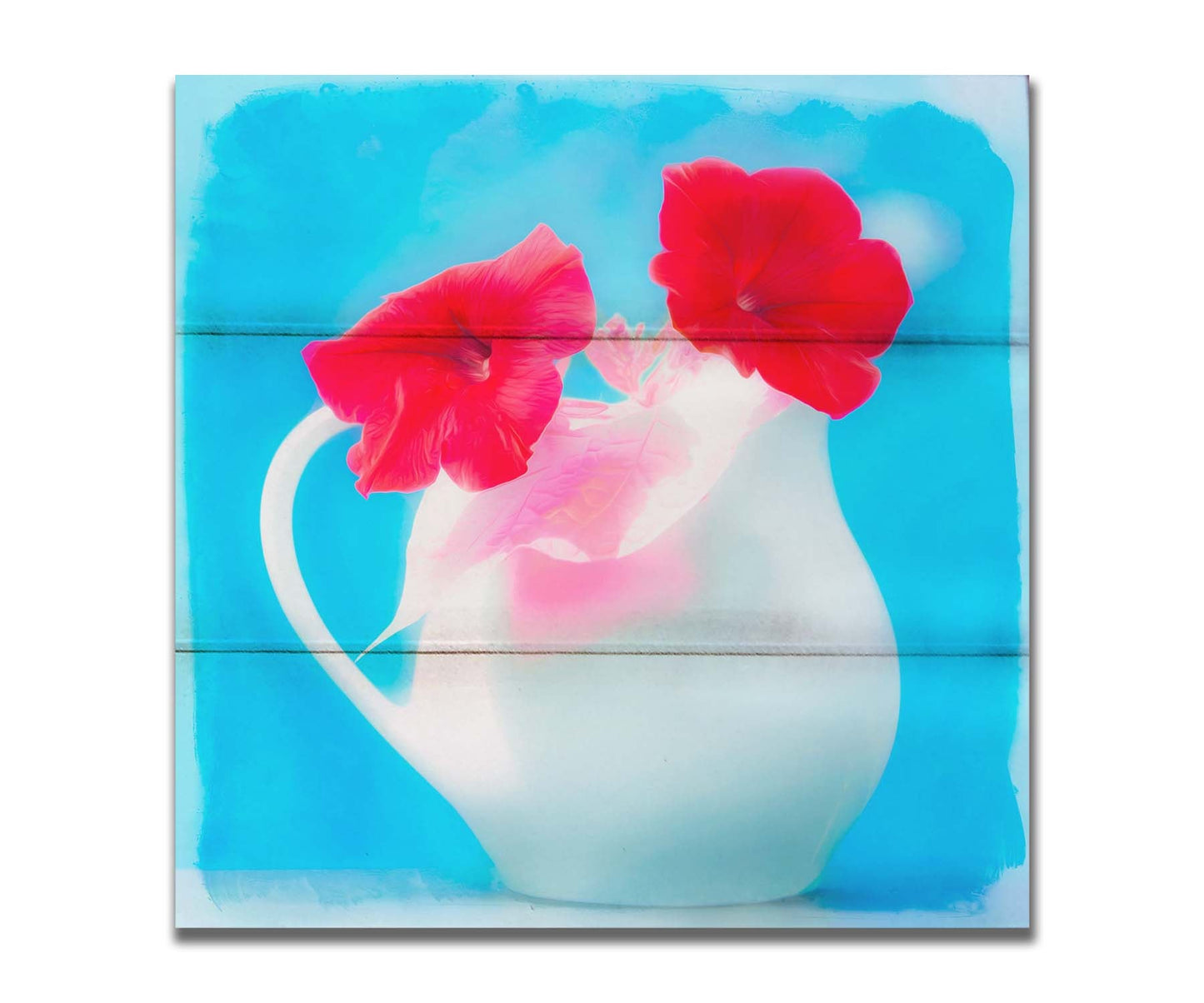 A photo of two red flowes in a white pitcher vase against a cyan backgrround. Printed on a box board.