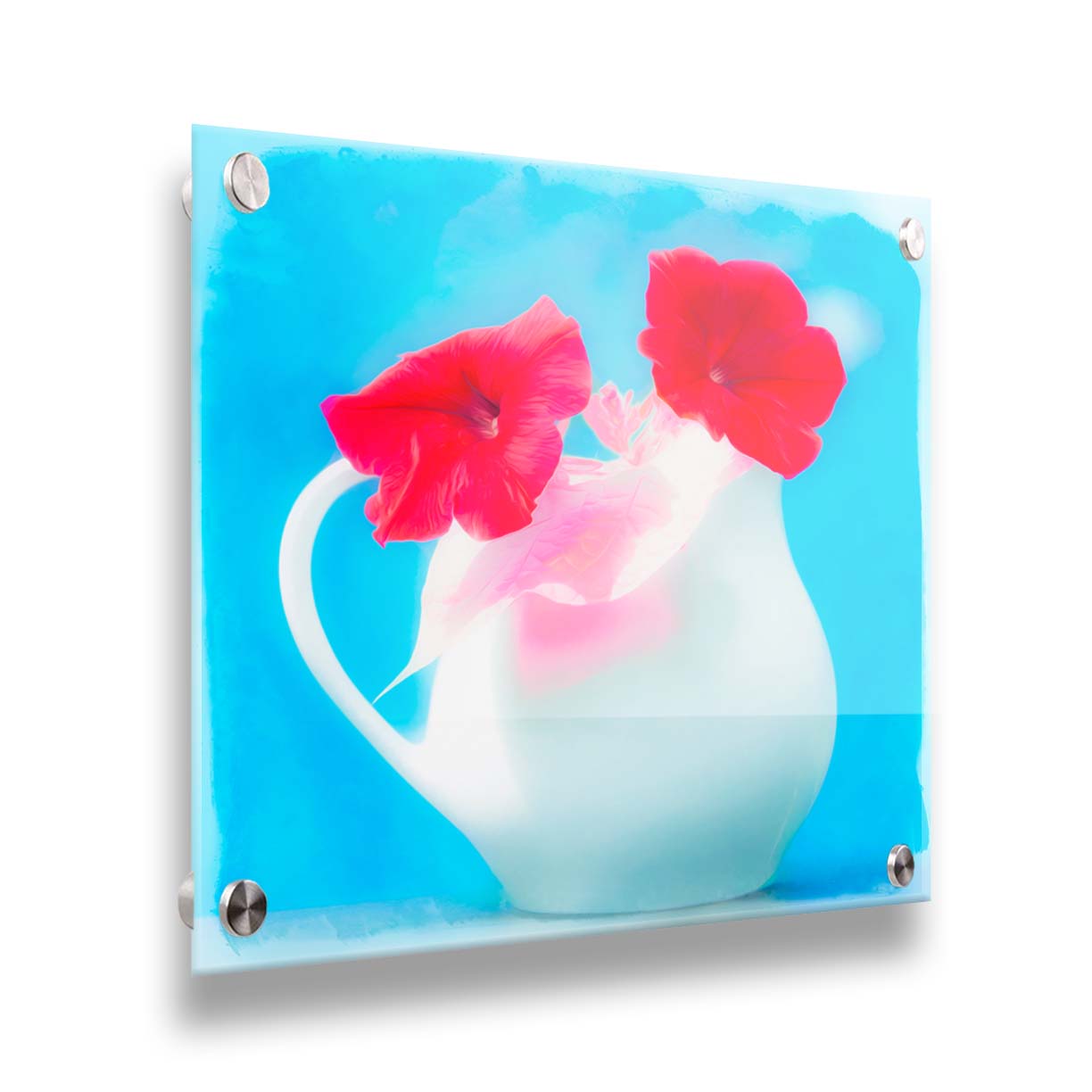 A photo of two red flowes in a white pitcher vase against a cyan backgrround. Printed on acrylic.