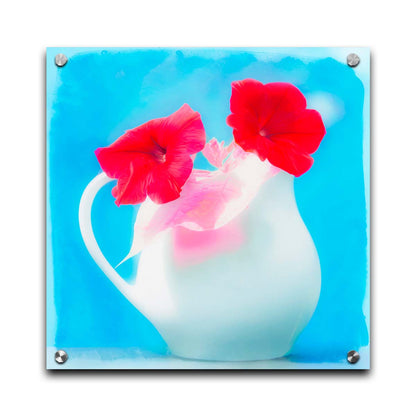 A photo of two red flowes in a white pitcher vase against a cyan backgrround. Printed on acrylic.