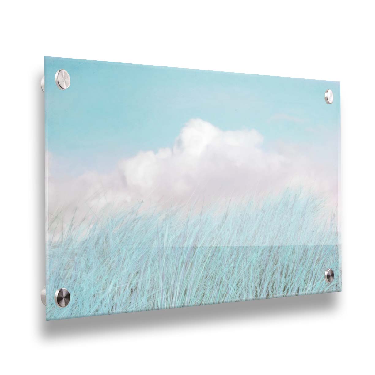A photo of tall grass under a blue sky with white clouds. Printed on acrylic.