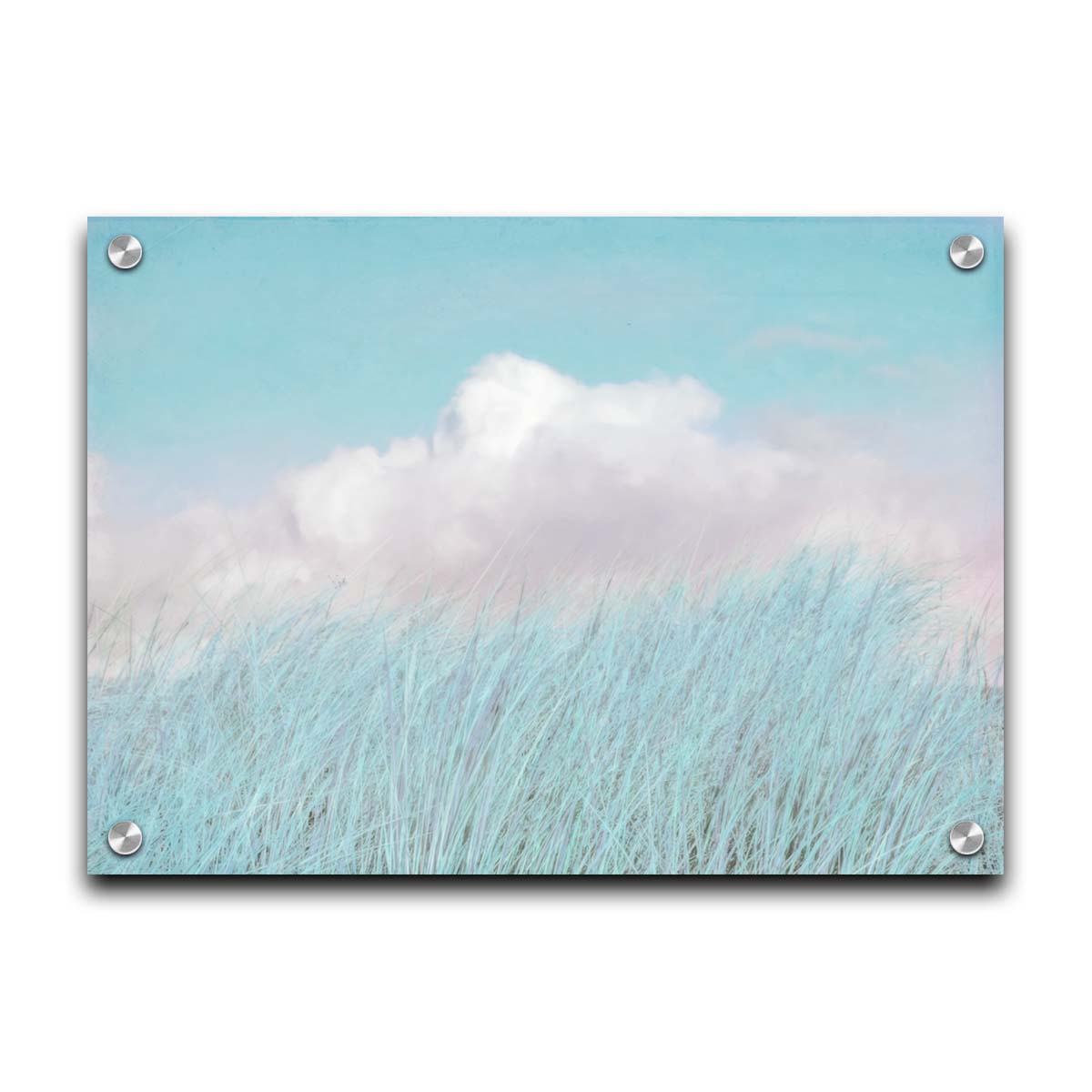 A photo of tall grass under a blue sky with white clouds. Printed on acrylic.