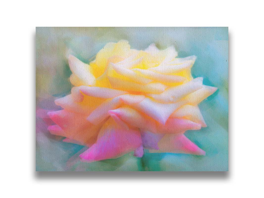 A photo of a yellow and pink rose against a blue background, edited to have a painterly style. Printed on canvas.