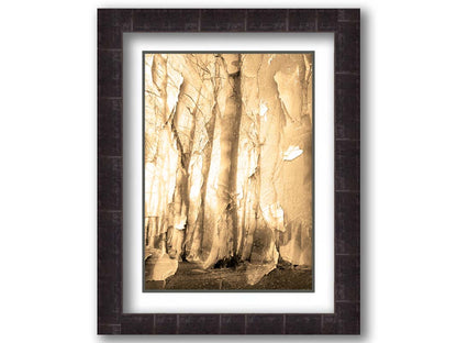 A photo of a birch forest in sepia, overlayed with a texture of peeling paper reminiscent of the trees' bark. Printed on paper, matted, and framed.