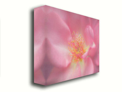 A closeup photo of a pink flower, blurred and softly lit. Printed on canvas.